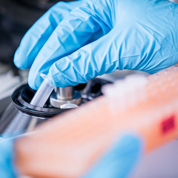 Vědecké a studijní pozice