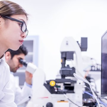 Mezinárodní spolupráce