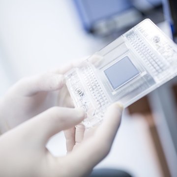 Akademická spolupráce