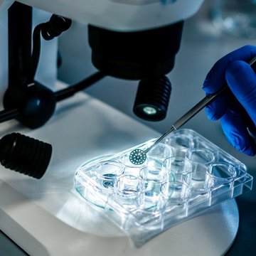 České centrum pro fenogenomiku