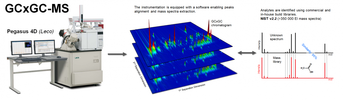 GCxGC-MS Untargeted Metabolomics