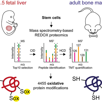 Molecular Aspects of Normal and Malignant Hematopoiesis