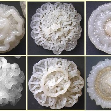 Conditions and mechanisms of microbial cell adhesion and biofilm formation on solid surfaces