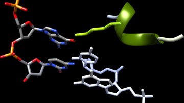 Gratulace týmu dr. Obšilové k publikaci v PNAS