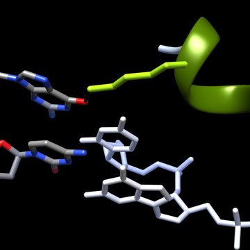 Gratulace týmu dr. Obšilové k publikaci v PNAS