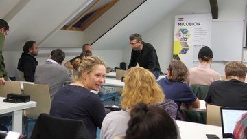 Lecture: Endosymbionts of termite gut flagellates: Examples of convergent evolution