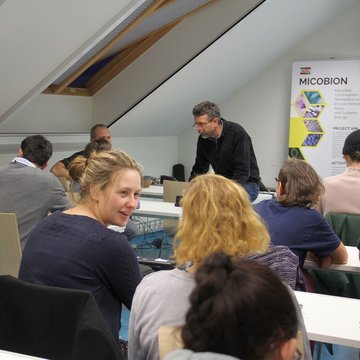 Lecture: Endosymbionts of termite gut flagellates: Examples of convergent evolution