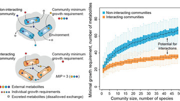 Lecture: How drugs affect our bugs