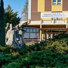 ŘEDITEL / ŘEDITELKA Fyziologického ústavu AV ČR, v.v.i.