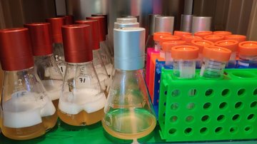 New Protein Production facility in CMS