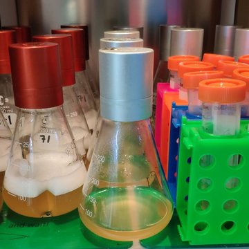 Centrum molekulární struktury nabízí novou službu "Protein Production"