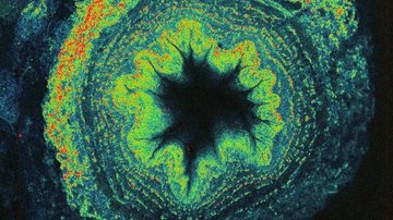 Co vše lze vidět bez značení?