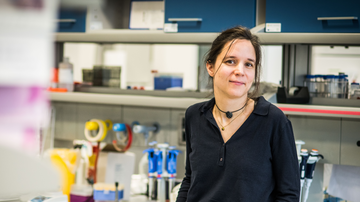 Vznikají „z ničeho“. Záhadu de novo proteinů odhaluje tým vědců z Česka a Německa