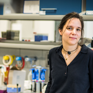 Vznikají „z ničeho“. Záhadu de novo proteinů odhaluje tým vědců z Česka a Německa