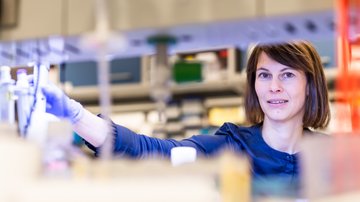 Jak vzájemně komunikují rakovinné buňky: možná cesta k nové léčbě nádorů