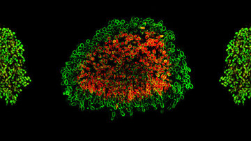 Vysoká účinnost i kvalita. Projekt LasApp podpoří nejmodernější vláknové a tenkodiskové lasery a jejich využití