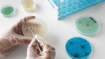 Triky přírody: Vědci odhalují, jak vznikají nová antibiotika