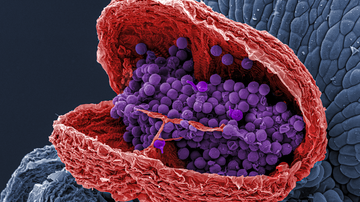 Zapojte se do soutěže "Picture of the Month" a vyhrajte až 10 000 Kč