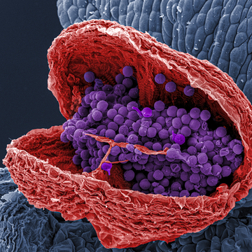 Zapojte se do soutěže "Picture of the Month" a vyhrajte až 10 000 Kč