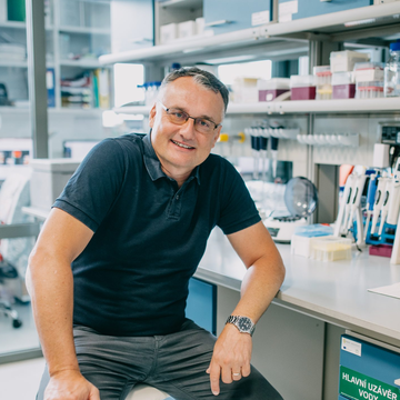 Kmenové buňky jsou mozkem nádoru!