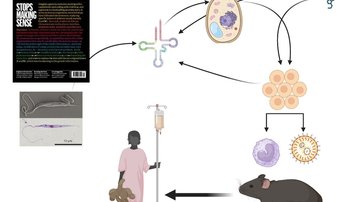 Prestižní ERC Synergy grant putuje na MBÚ a BC