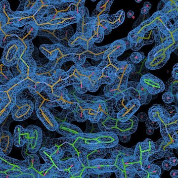 Strukturní neurobiologie