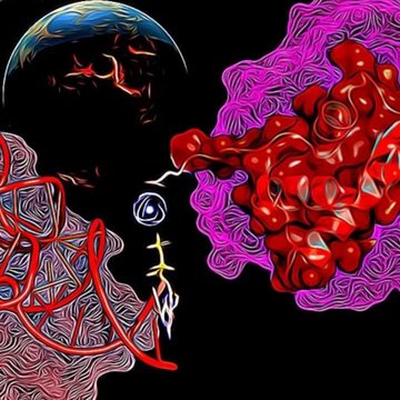 Mechanismy odpovědi na syntetické a de novo geny